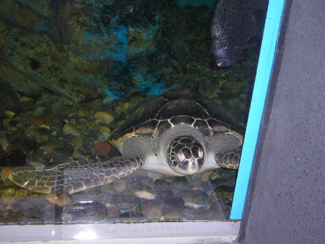 GW後半はマリエントへ