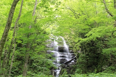 新緑から深緑へ　見逃してほしくない６月の十和田湖・奥入瀬