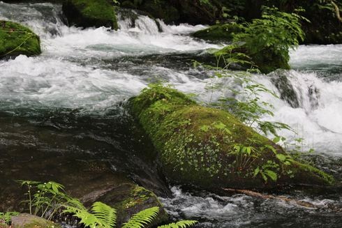 Let’s　渓流ランブリング