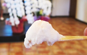 手づくりジェラートのお店「NAMIKI」が開店したんだモ～。