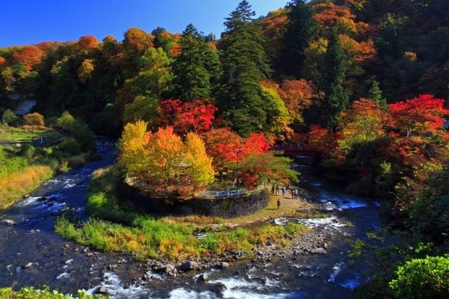 青森の小嵐山で楽しむ、ぜいたくな景色とお弁当　～中野もみじ山～