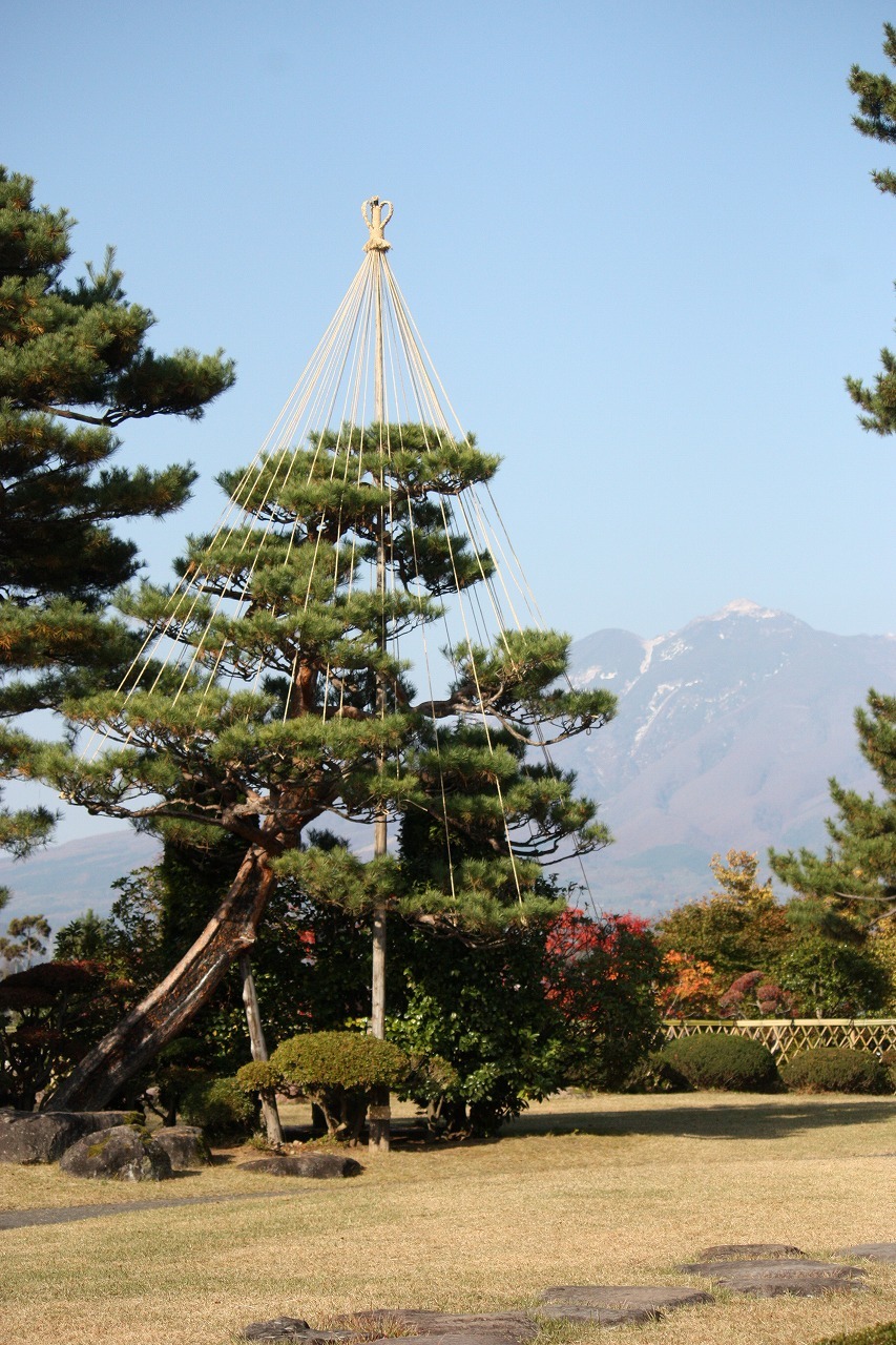 雪国の巧みで美しいワザ、弘前城の雪吊り