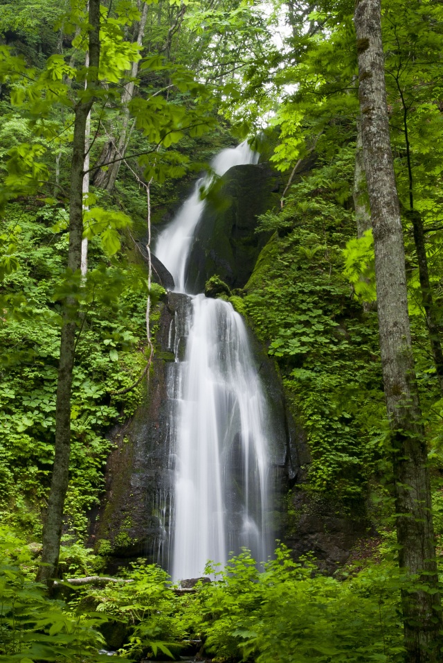 三世代で行く奥入瀬・八甲田の旅