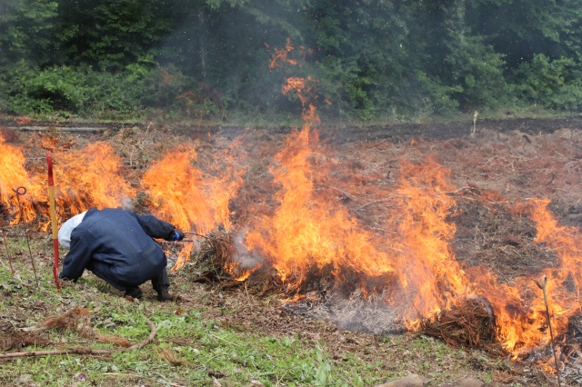八戸市南郷で息づく、縄文時代から続く焼畑農法