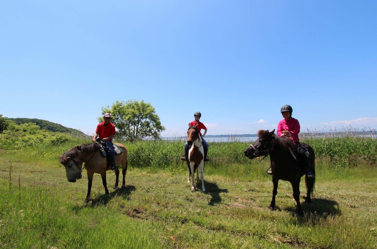 かつての馬文化が、かたちを変えて復活。