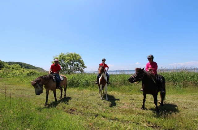 かつての馬文化が、かたちを変えて復活。
