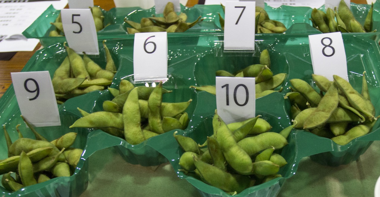 今年も最強毛豆決定戦が開催されました!最強の毛豆はものスゴイです!