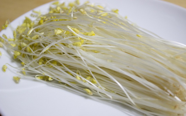 平川市で復活！津軽伝統のそばもやし！