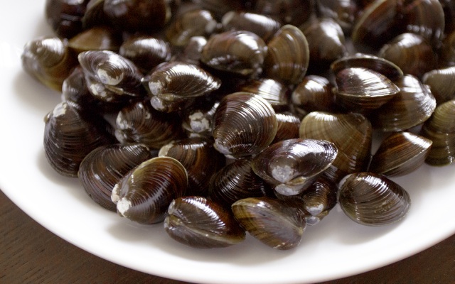 八甲田の自然豊かなミネラルをたっぷり含んだ小川原湖産の活しじみ