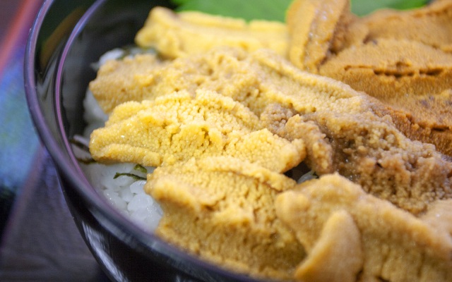 大間はマグロだけじゃないんです！うに丼まつり絶賛開催中！
