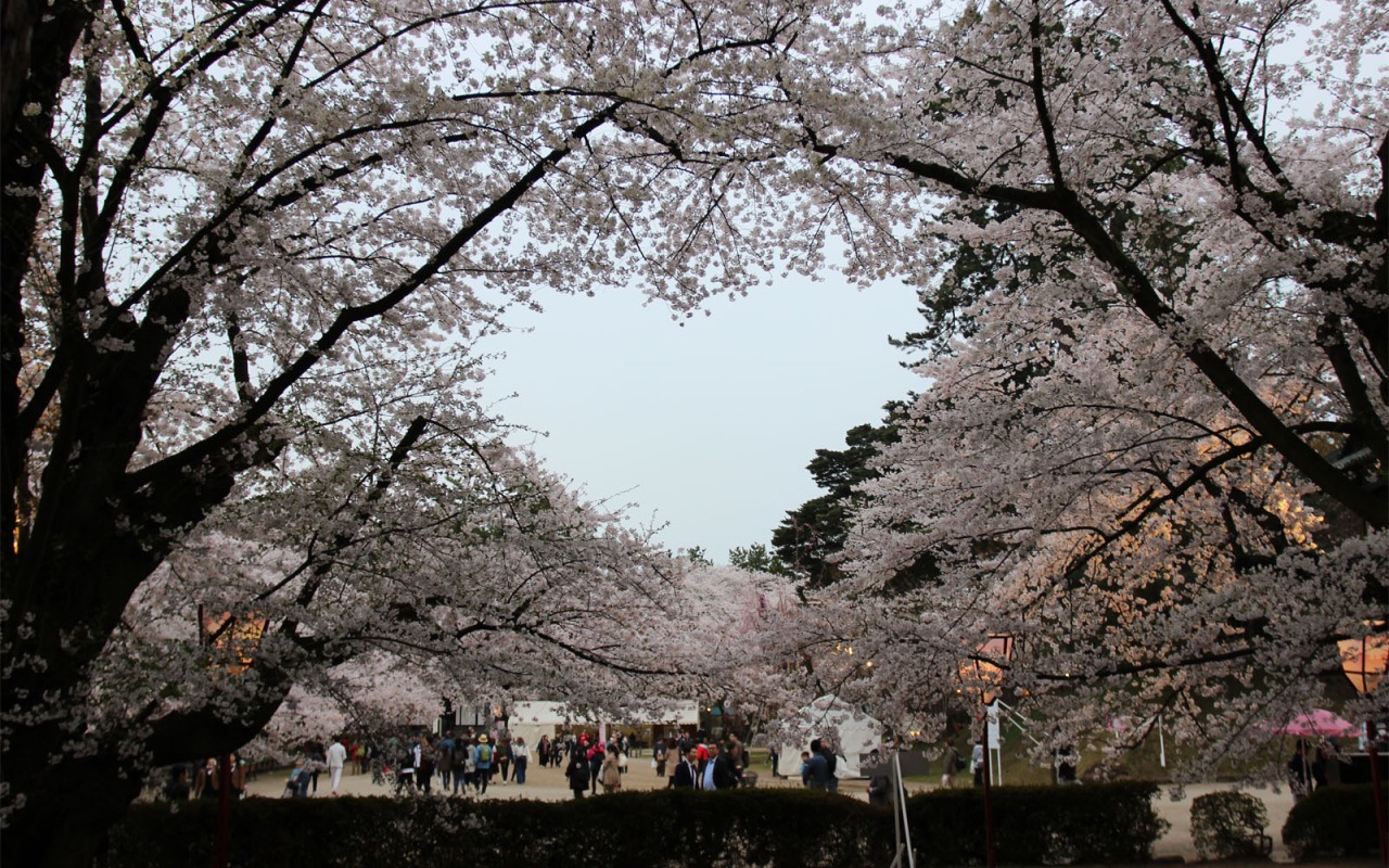 「絶対に行かなければならない祭りがそこにある。」