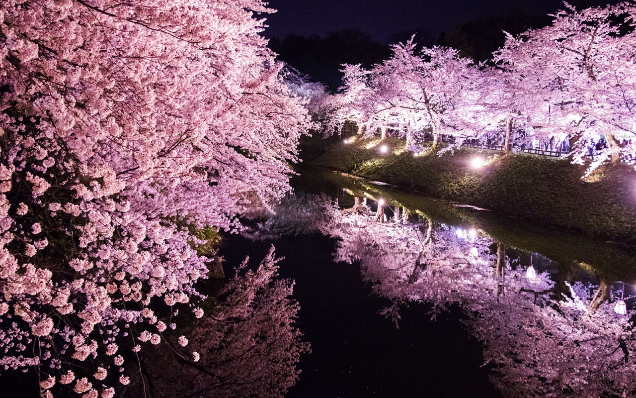 GWの主役はこれで決まり！「弘前さくらまつり」