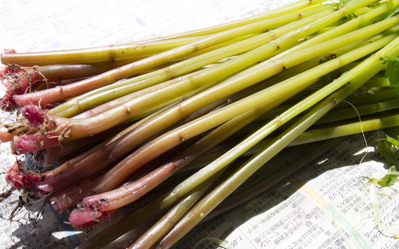 今が旬！シャキシャキのミズに舌鼓