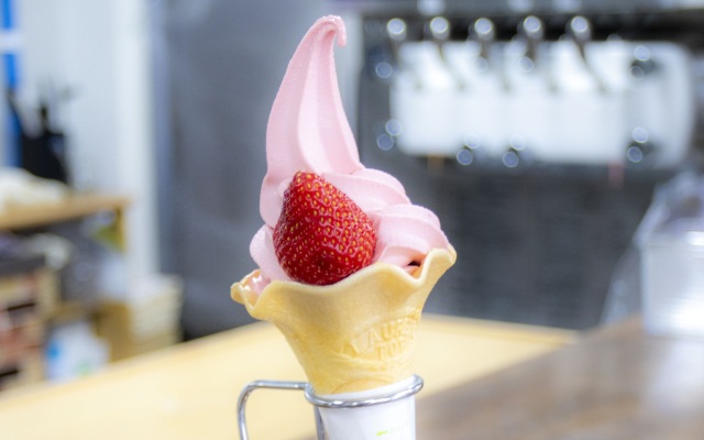 今すぐ食べた〜い！濃厚フルーツ＆ベジタブル・ソフトクリーム