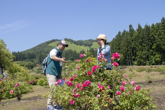 東八甲田ローズカントリーをガイドと巡って優美な時間を堪能！