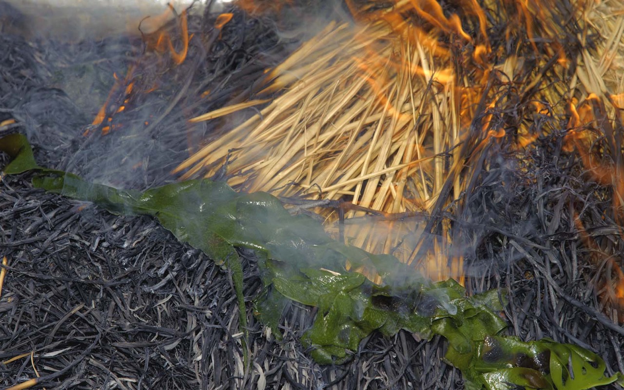 ここにしかない海の宝「焼干灰わかめ」