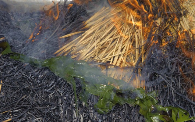 ここにしかない海の宝「焼干灰わかめ」