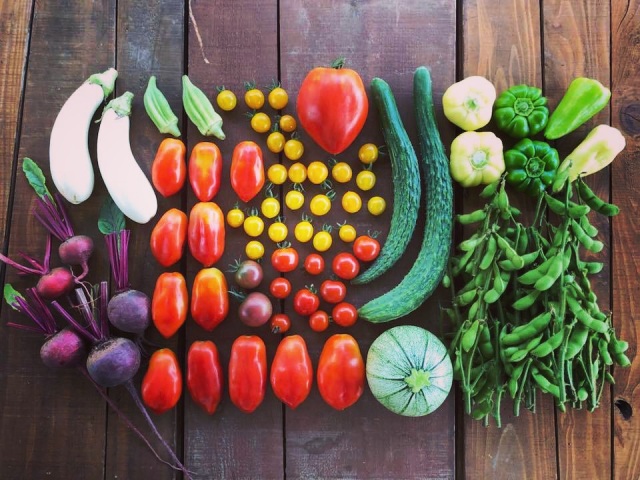 採れたて旬の夏野菜！無肥料・無農薬のうまうま野菜をご紹介！