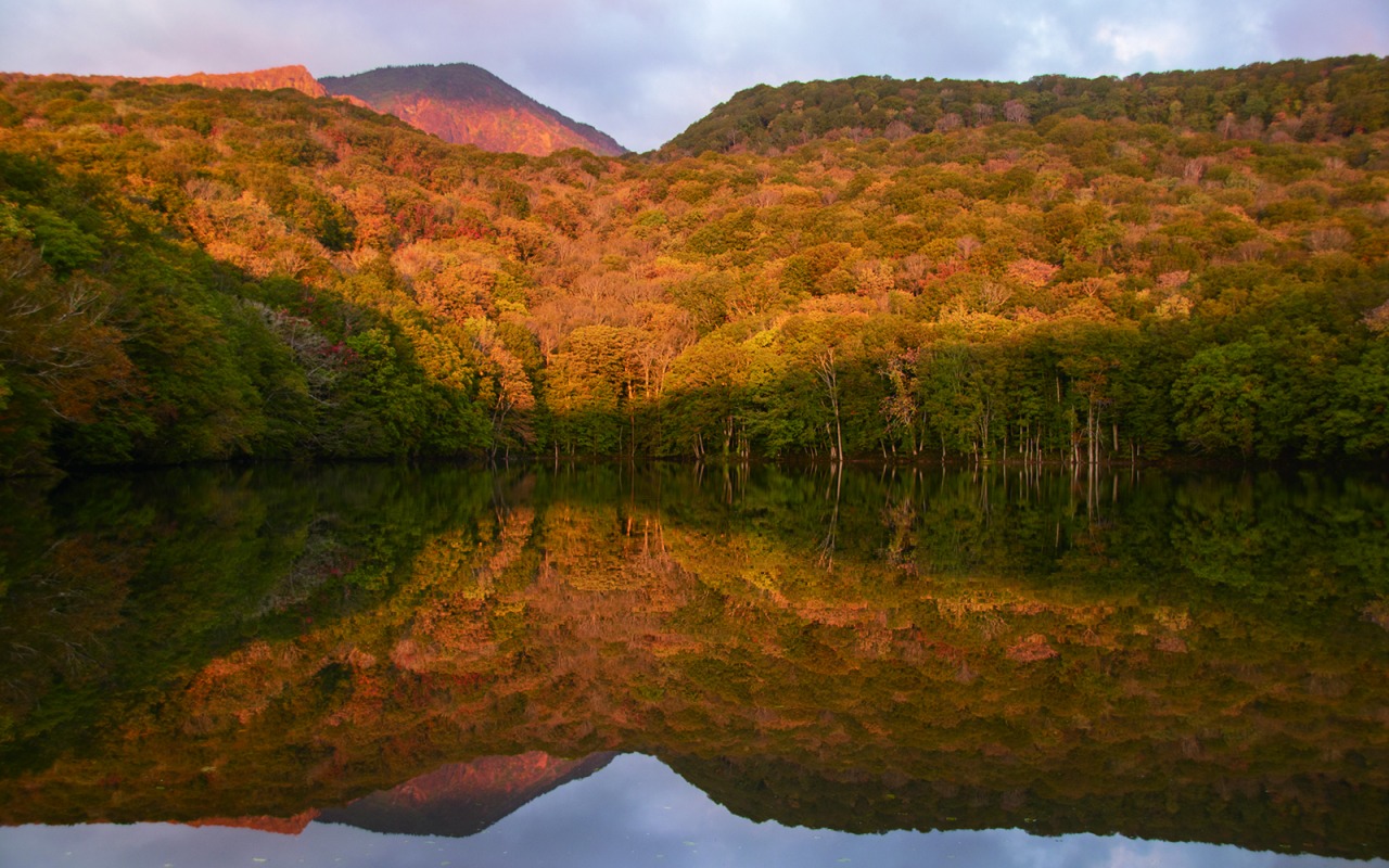 2018年10月8日現在、蔦沼の紅葉状況です。
