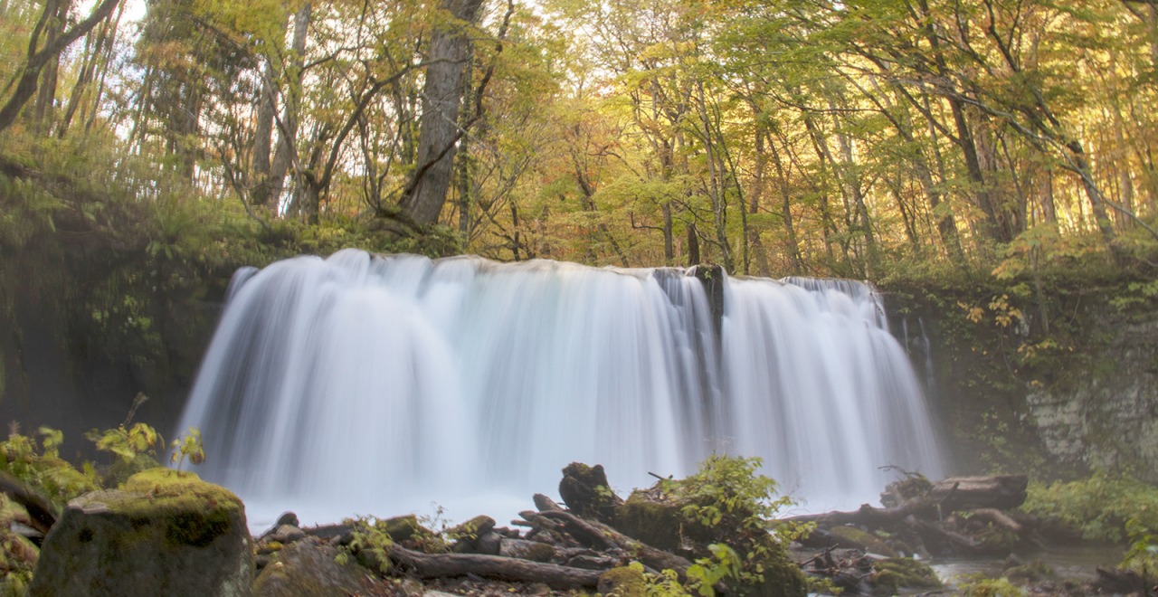2018年10月21日現在、奥入瀬渓流の紅葉状況です。