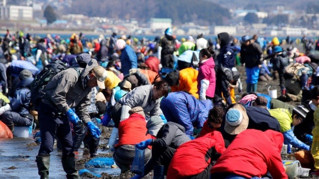 【自由すぎる潮干狩り】１年に１日のイベント！！芦崎湾潮干狩りに行ってきました