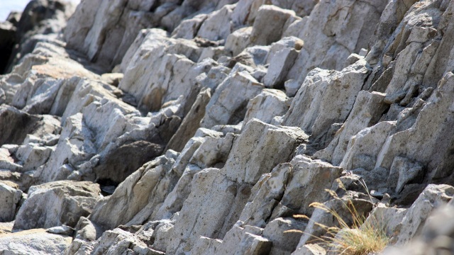自然が造りし美配列～下北のジオサイト　津鼻崎・ちぢり浜