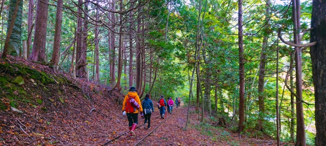 リトリートなら津軽海峡周辺がおススメ！短命県返上を本気で考える青森県のウェルネスプログラムに参加してみた