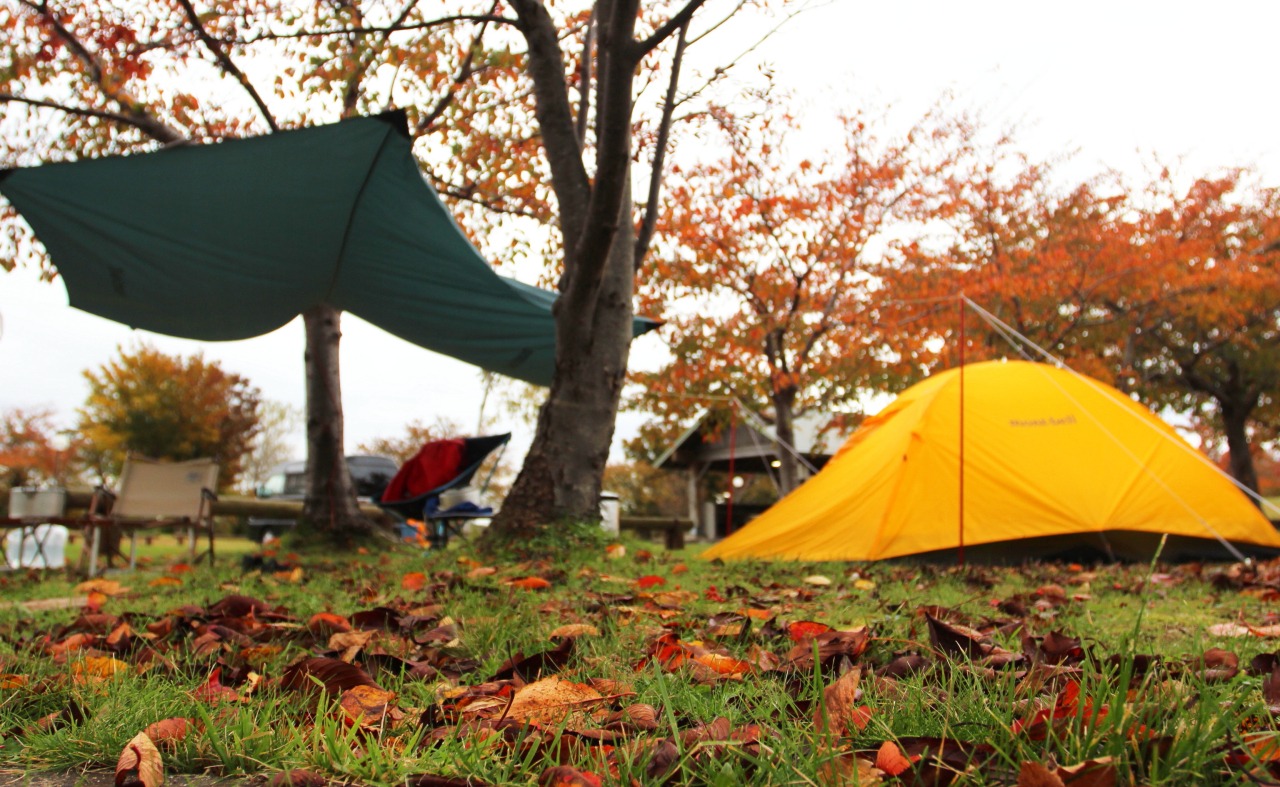 【芦野公園オートキャンプ場】紅葉真っ盛り、まだまだキャンプの季節です