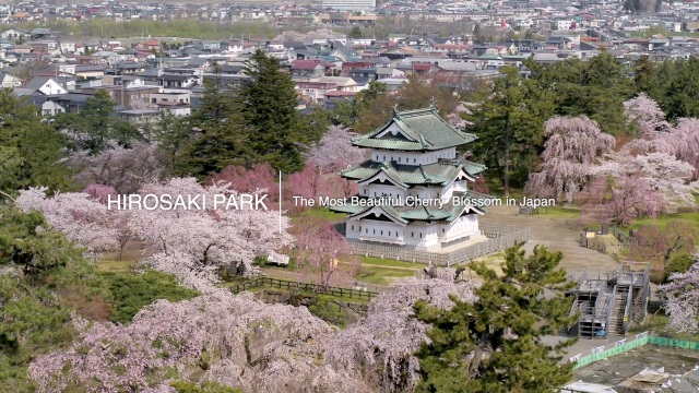 【２０２０　世界でいちばん美しい桜　～弘前公園　Ｐａｒｔ１～】