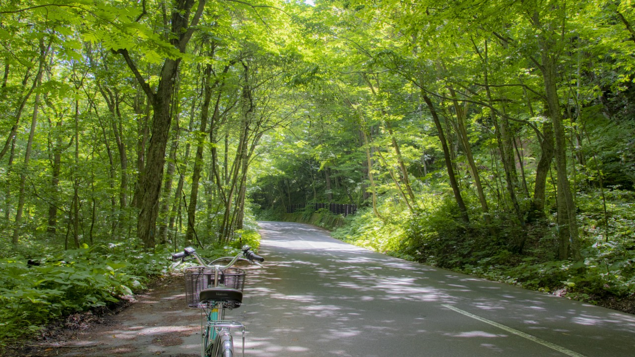 最近運動不足の貴方へ　ラクに身も心もリフレッシュした話【奥入瀬渓流 楽チャリ】