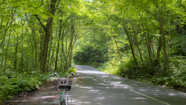 最近運動不足の貴方へ　ラクに身も心もリフレッシュした話【奥入瀬渓流 楽チャリ】