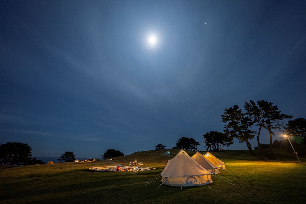 種差海岸天然芝生地でグランピング（ザボンの月見体験つき）