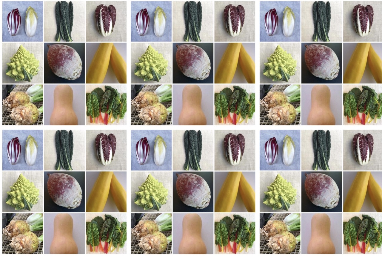 【青森県ふじもり農園西洋野菜名前当てクイズ】あなたはいくつわかるかな？