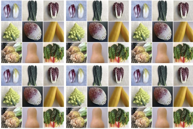 【青森県ふじもり農園西洋野菜名前当てクイズ】あなたはいくつわかるかな？