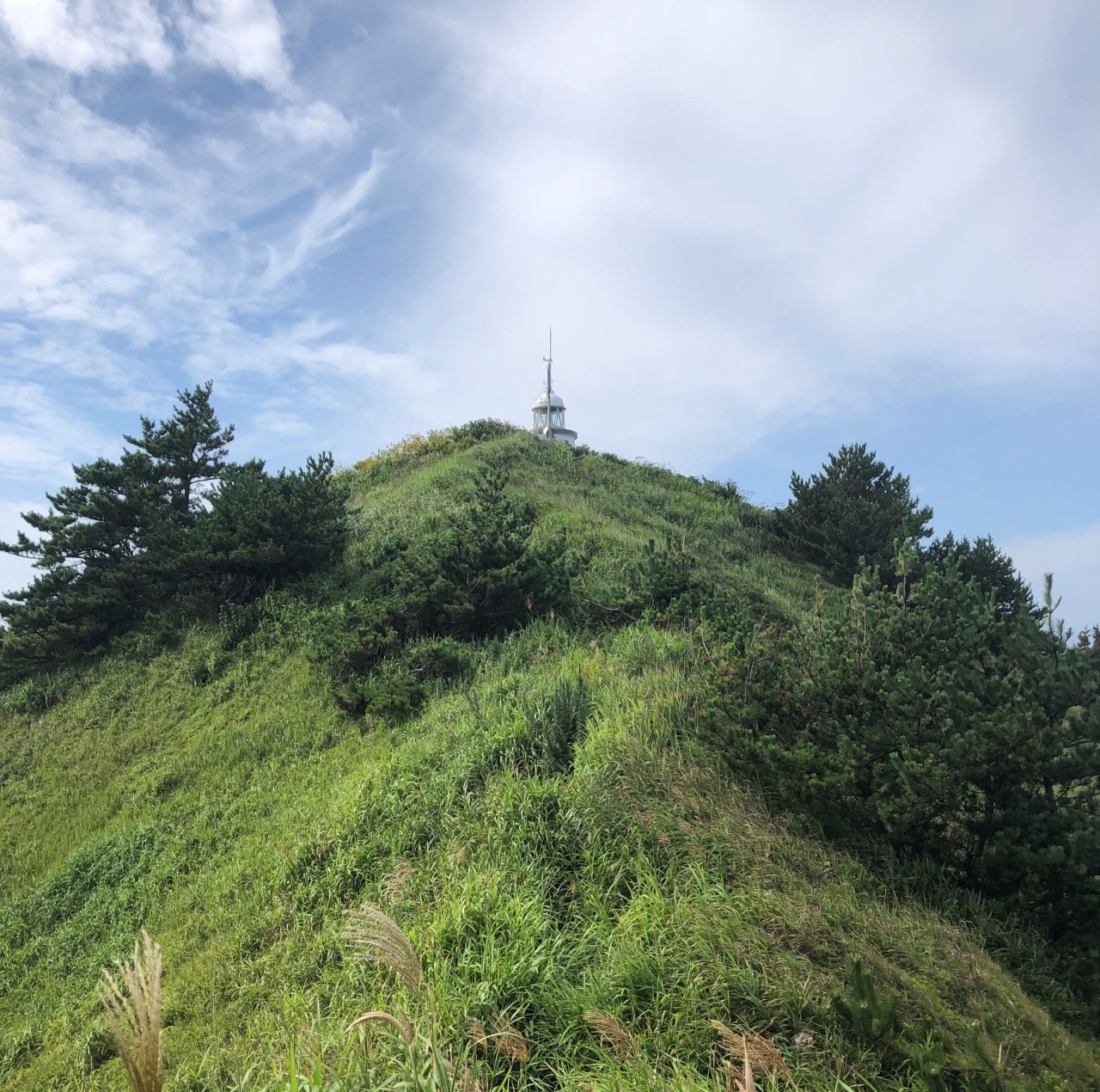 能町みね子の「あんたは青森のいいところばかり見ている」（第１回）