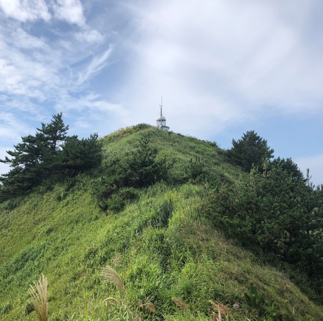 能町みね子の「あんたは青森のいいところばかり見ている」（第１回）