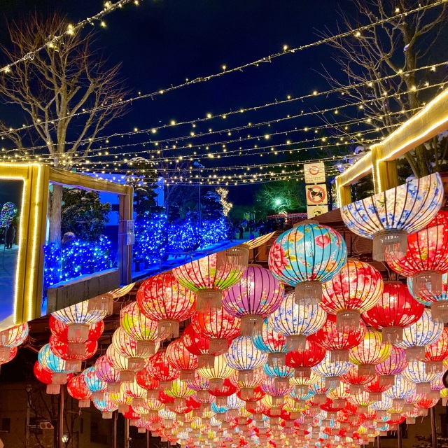 絶対見たい♡ひらかわイルミネーション！〜帰ったらお家で平川サガリカレーもね〜