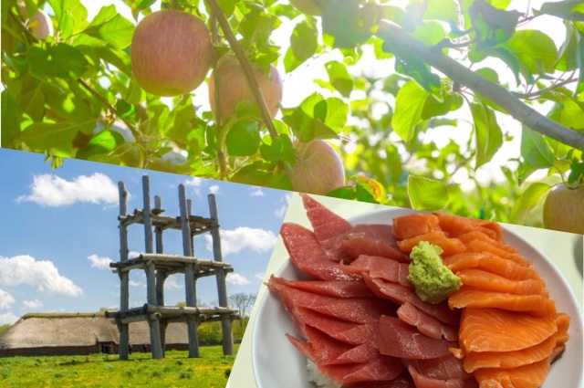 2021年まるごと青森ブログ記事人気ランキングを発表します！