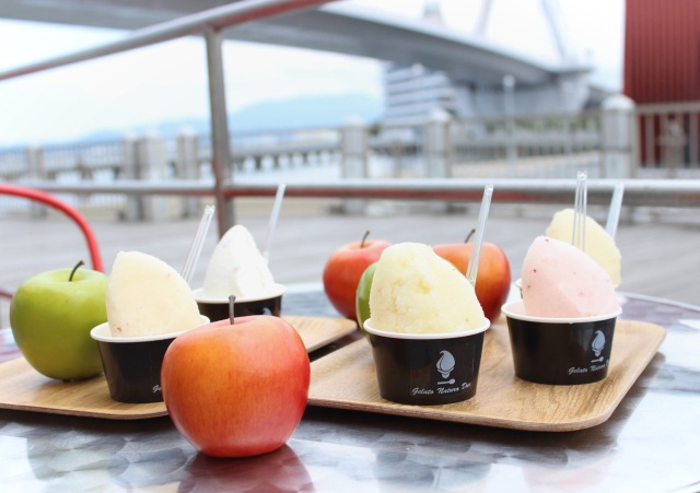 極上ジェラートを食べよう！おいしさの秘訣は「青森県産」と「無添加」【Gelato Natura Due】