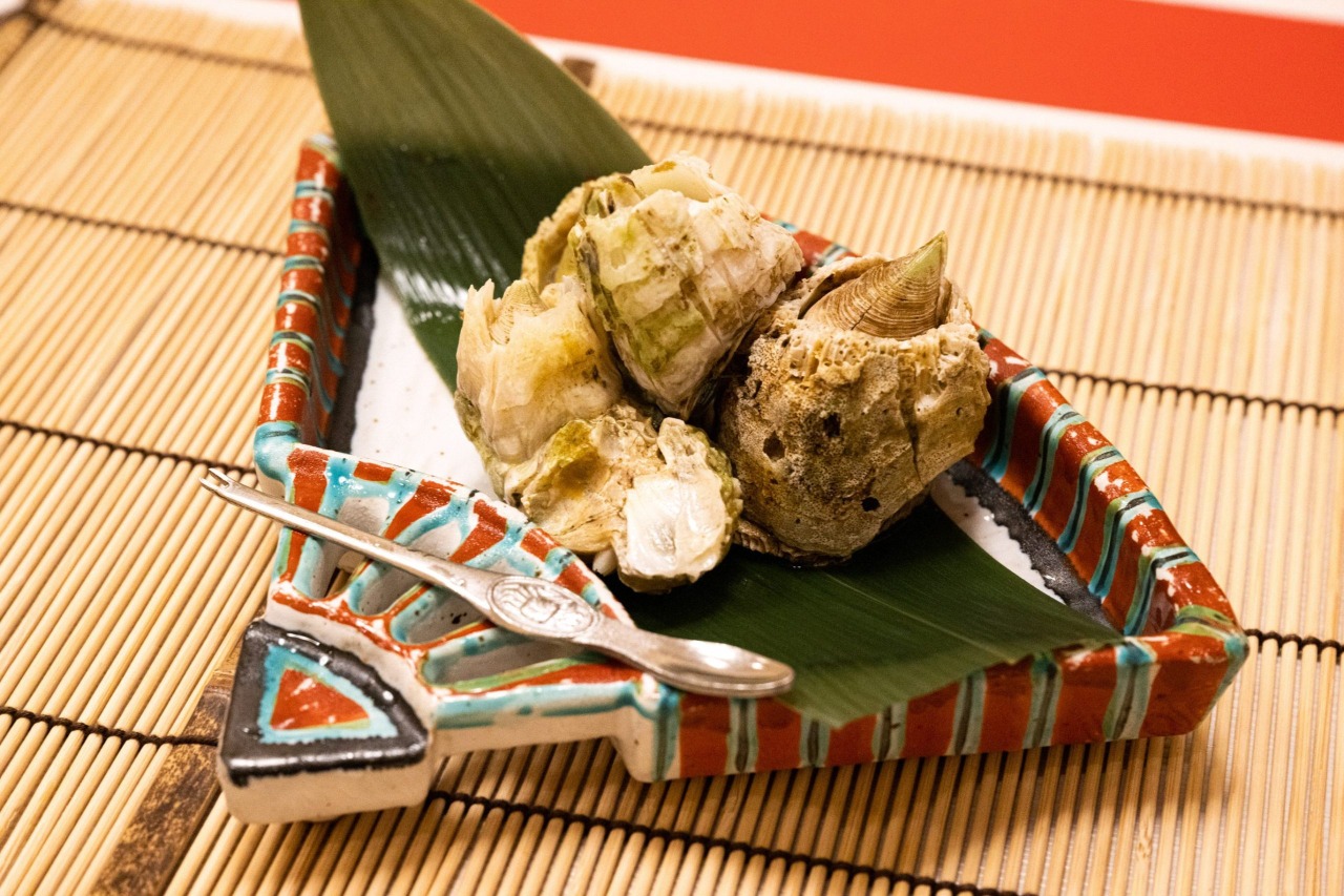 巨大フジツボ様に恋をしました。