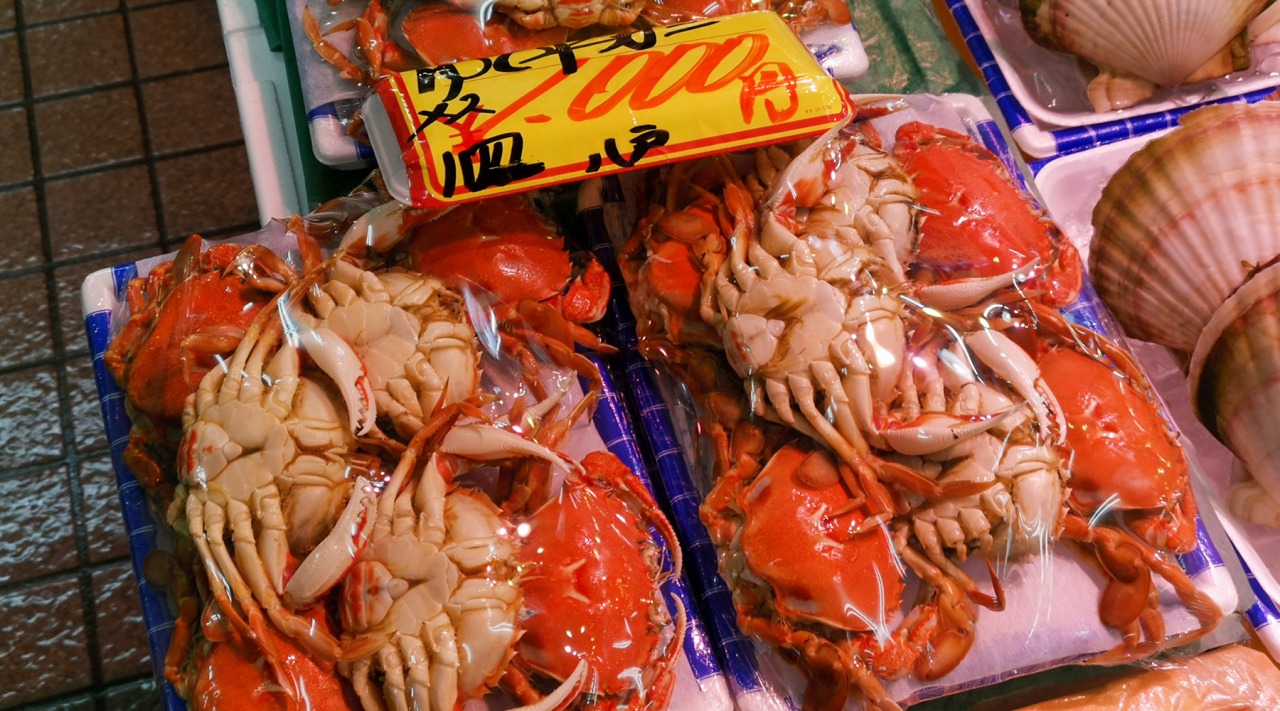 野瀬泰申の「青森しあわせ紀行　その２②」