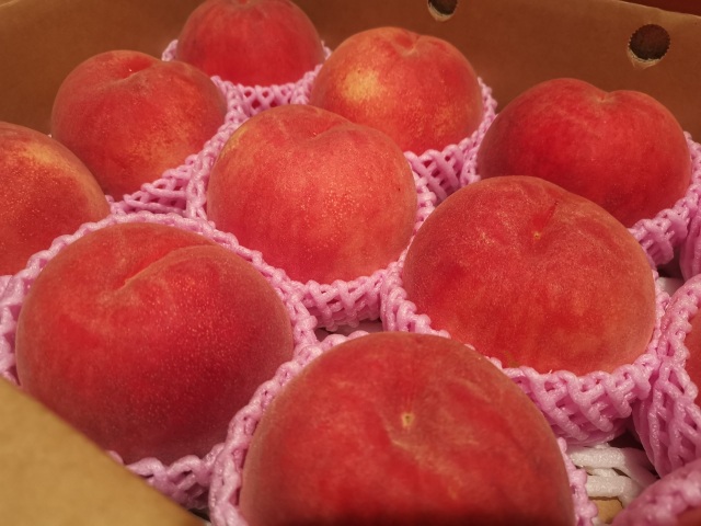 野瀬泰申の「青森しあわせ紀行　その３②」