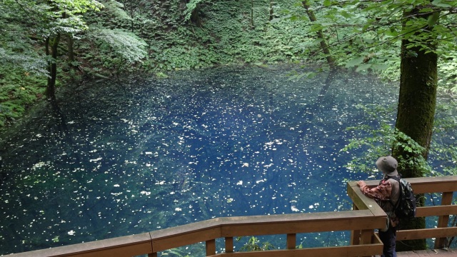 十二湖かんたんトレッキングで森林セラピー