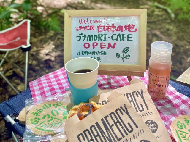 世界自然遺産でラグジュアリーなブナMORIカフェ