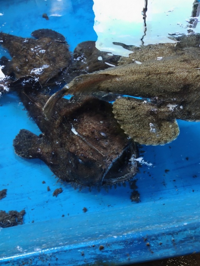 野瀬泰申の「青森しあわせ紀行　その7④」