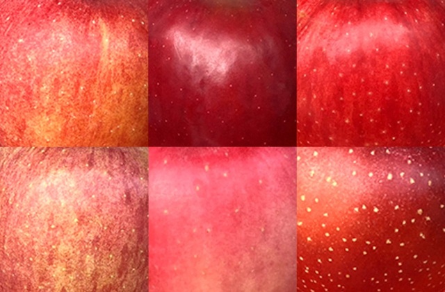 青森りんご植栽150周年に合わせ「アオモリックキューブ」県外初進出！