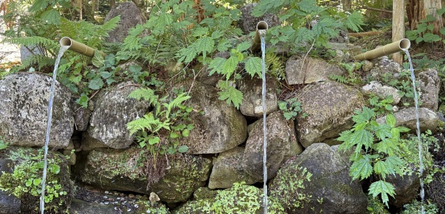 夏にオススメ涼スポット！むつ市「恐山冷水（ひやみず）」で長寿を目指せ？！
