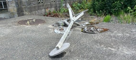 能町みね子の「あんたは青森のいいところばかり見ている」（第１９回）