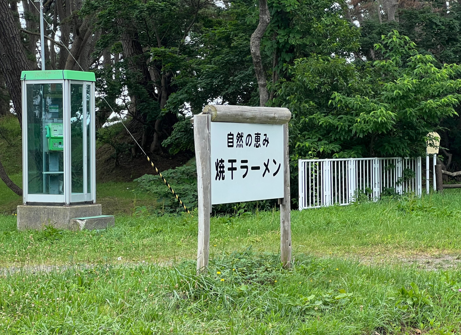 能町みね子の「あんたは青森のいいところばかり見ている」（第２０回）