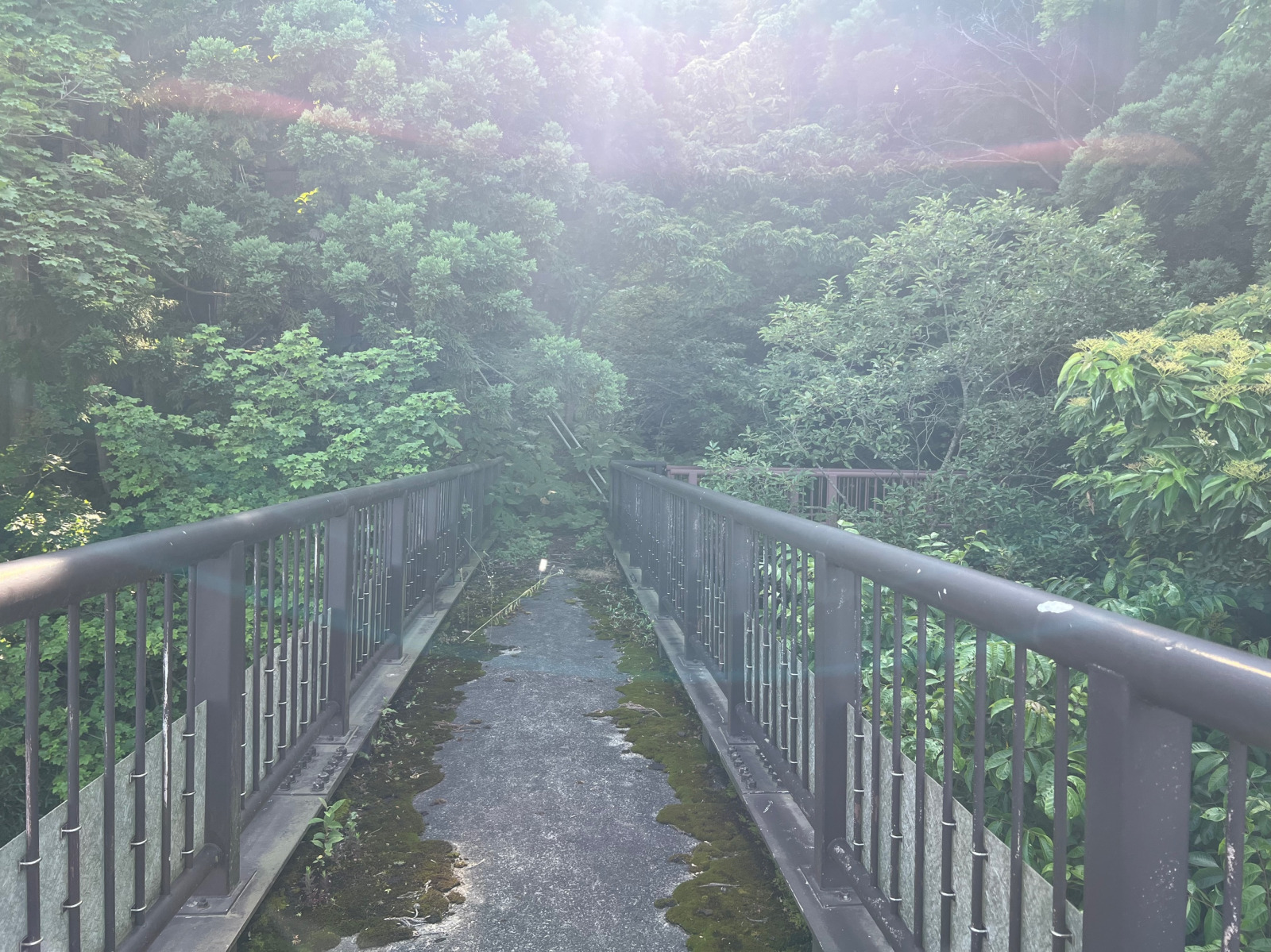 能町みね子の「あんたは青森のいいところばかり見ている」（第２１回）